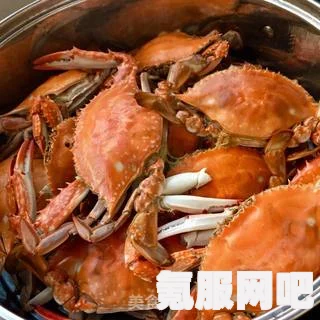 幻塔海蟹汤的独特食谱揭秘，美味海蟹汤的制作工艺配方介绍