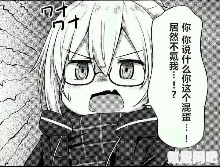 深入解析FGO日服玛丽Alter的技能与宝具强度