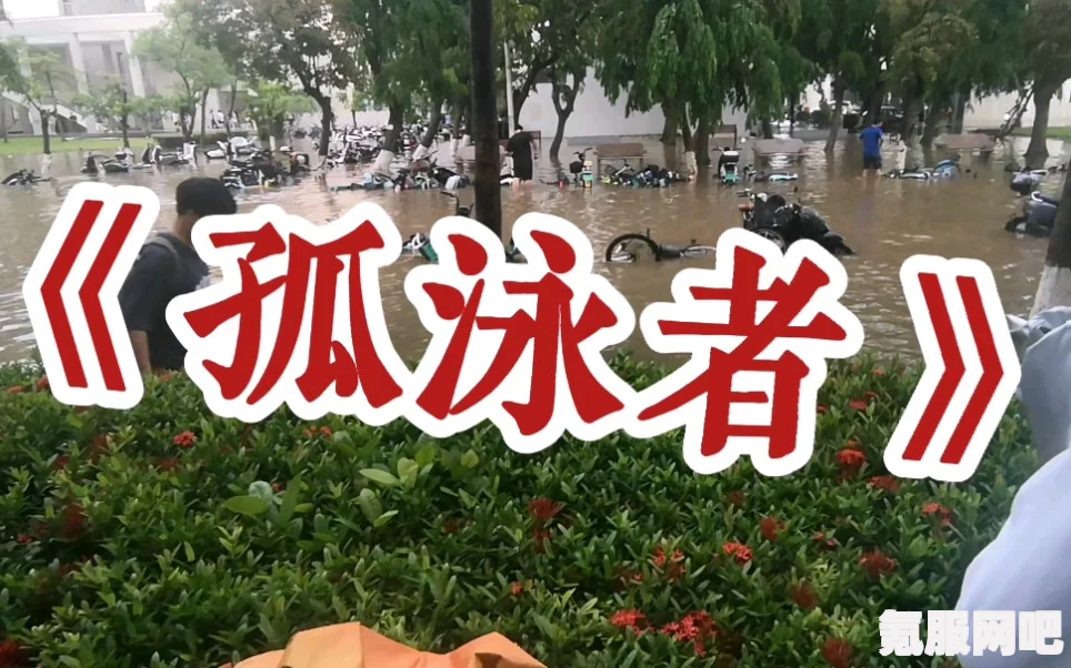 揭秘孤泳者，背后的深层含义与流行梗起源