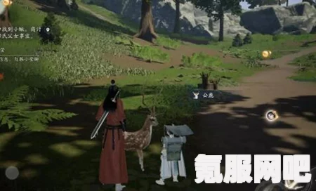 射雕手游，小动物位置一览及寻找指南