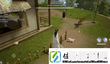 射雕手游，小动物位置一览及寻找指南