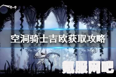 空洞骑士竞技场位置详解与常见问题解答指南