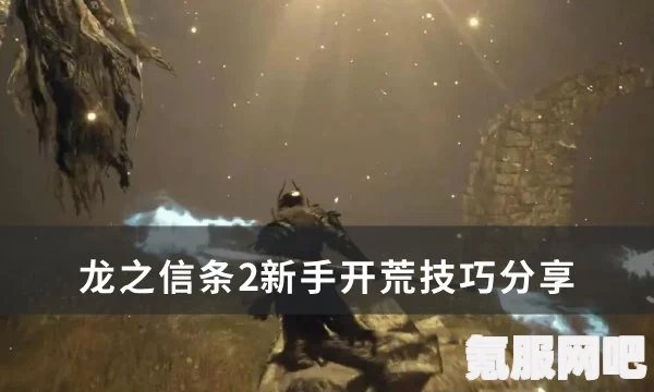 龙之信条2开荒职业深度解析与推荐，新手开局指南