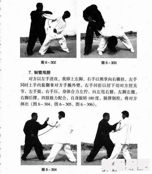 身体素质训练的终极探索，秘密武器与绝对演绎的奥秘