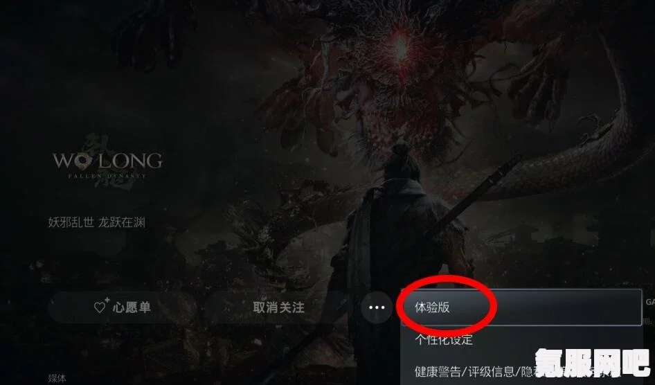 卧龙苍天陨落体验版下载运行方式技巧详解与心得分享