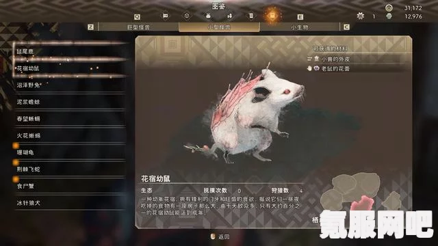 狂野之心石笋滑翔鼠弱点打法攻略及实战技巧