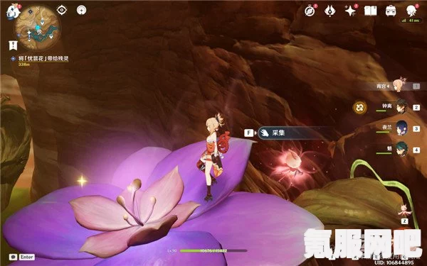 原神忧昙花的花蕊位置介绍
