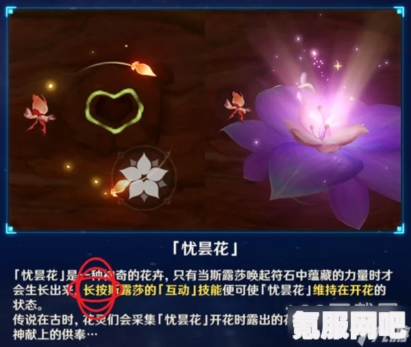 原神忧昙花的花蕊位置介绍