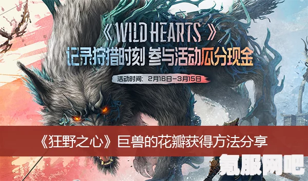 狂野之心晶石获取攻略，解锁你的冒险之旅