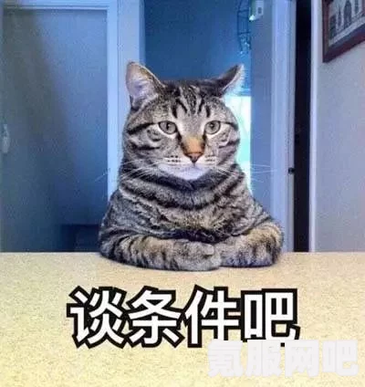 通神榜暗猫攻略，玩转暗猫搭配之道