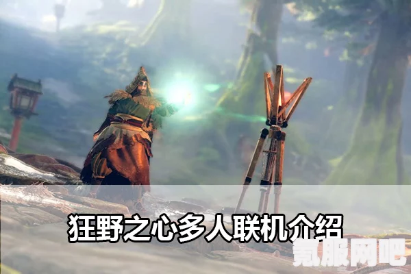 狂野之心联机教程，如何与好友共同体验游戏