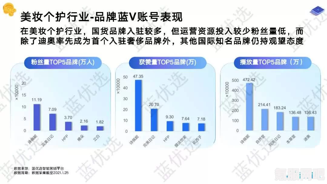 如何查看B站年度报告，详细指南2021