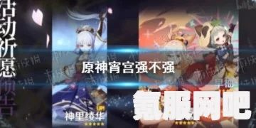 原神宵宫角色深度解析与培养建议