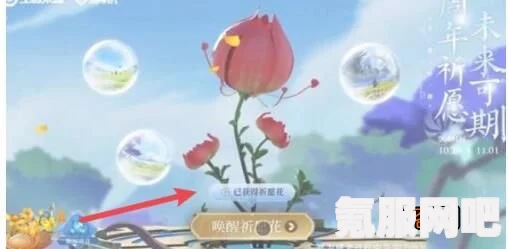 王者荣耀许愿花的获取与使用指南