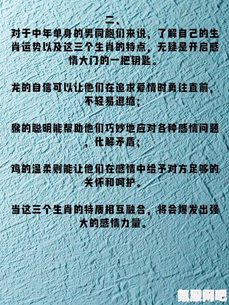 中华普信男生存指南最新消息，发售时间揭秘与全面指南解析