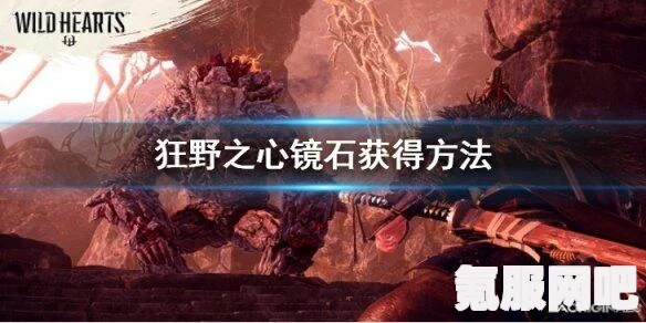 狂野之心镜石获取攻略，全面了解镜石的获得方法