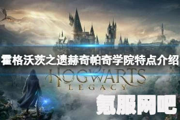 霍格沃茨遗产，真正的朋友支线任务攻略详解