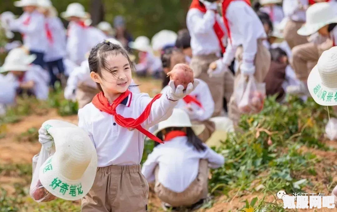 抖音奇旅2021，玩转活动攻略与介绍