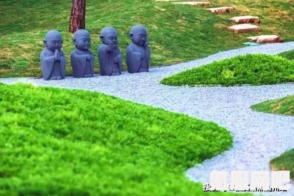 璀璨星途官网地址分享及常见问题解答