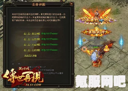 圣兽之王技能优先判定机制的深度解析