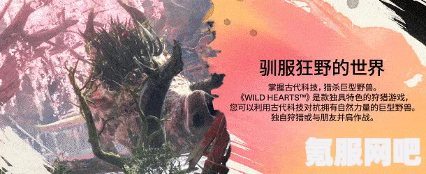 狂野之心，重塑面容的可能性探讨