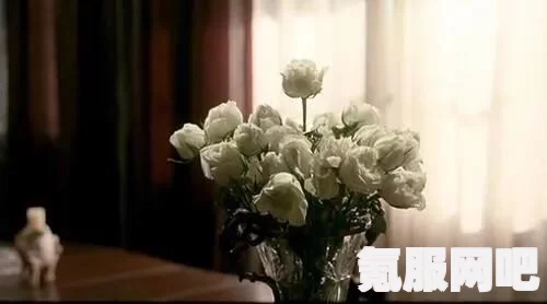 维也纳的来信第三部，绝对演绎通关攻略详解