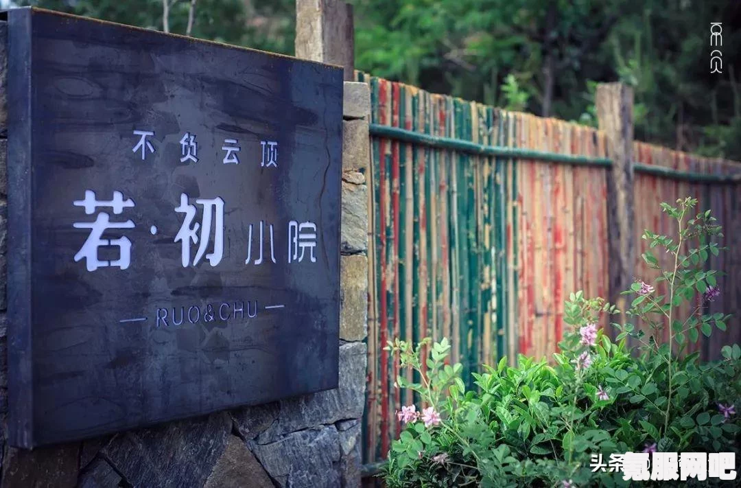 云顶之弈，名流女警出装攻略大全