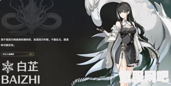 鸣潮，丹瑾声骸的选择之道