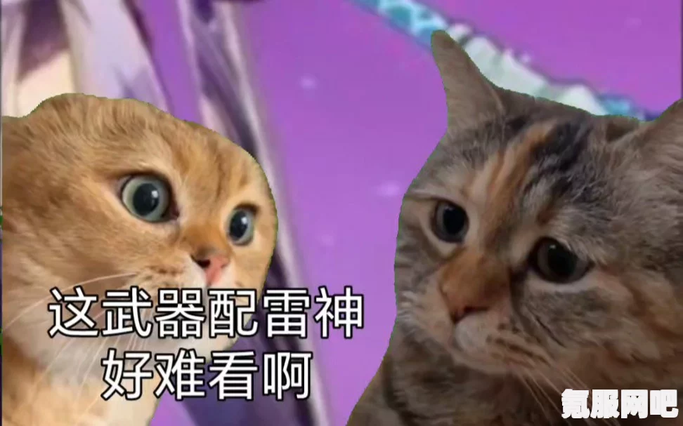 揭秘原神雷神与鱼叉梗的起源与内涵，深入解析雷神为何拒绝鱼叉