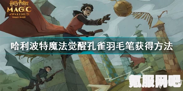 哈利波特魔法觉醒孔雀羽毛笔获取攻略大全