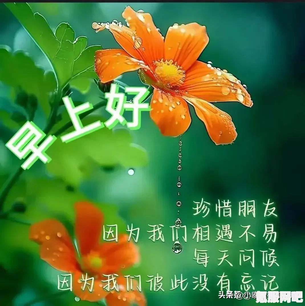 第五人格春分线下活动揭秘，2024年二十四节气福州场精彩纷呈
