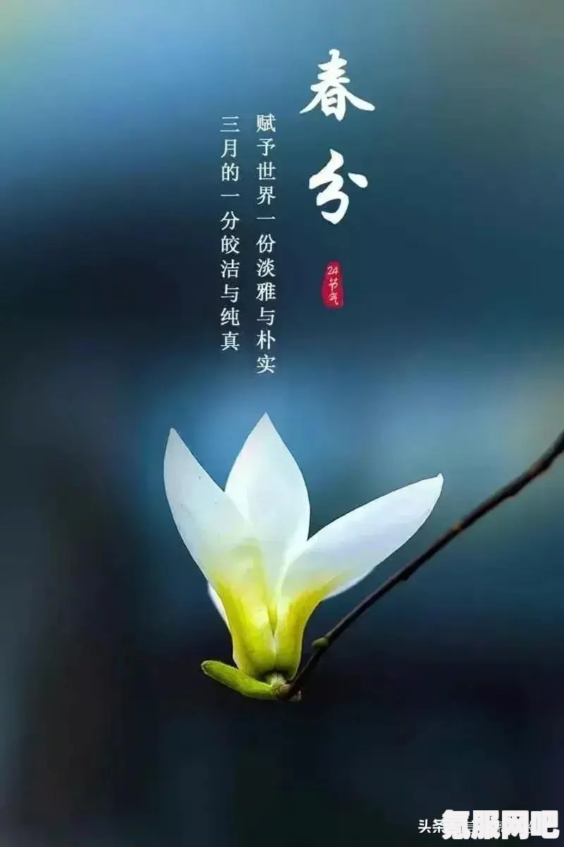 第五人格春分线下活动揭秘，2024年二十四节气福州场精彩纷呈