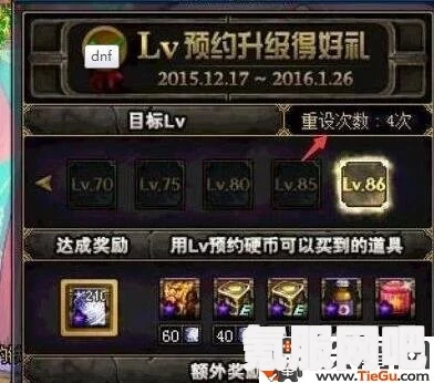 觅长生星凝成道侣攻略，成为星凝结的伴侣之道