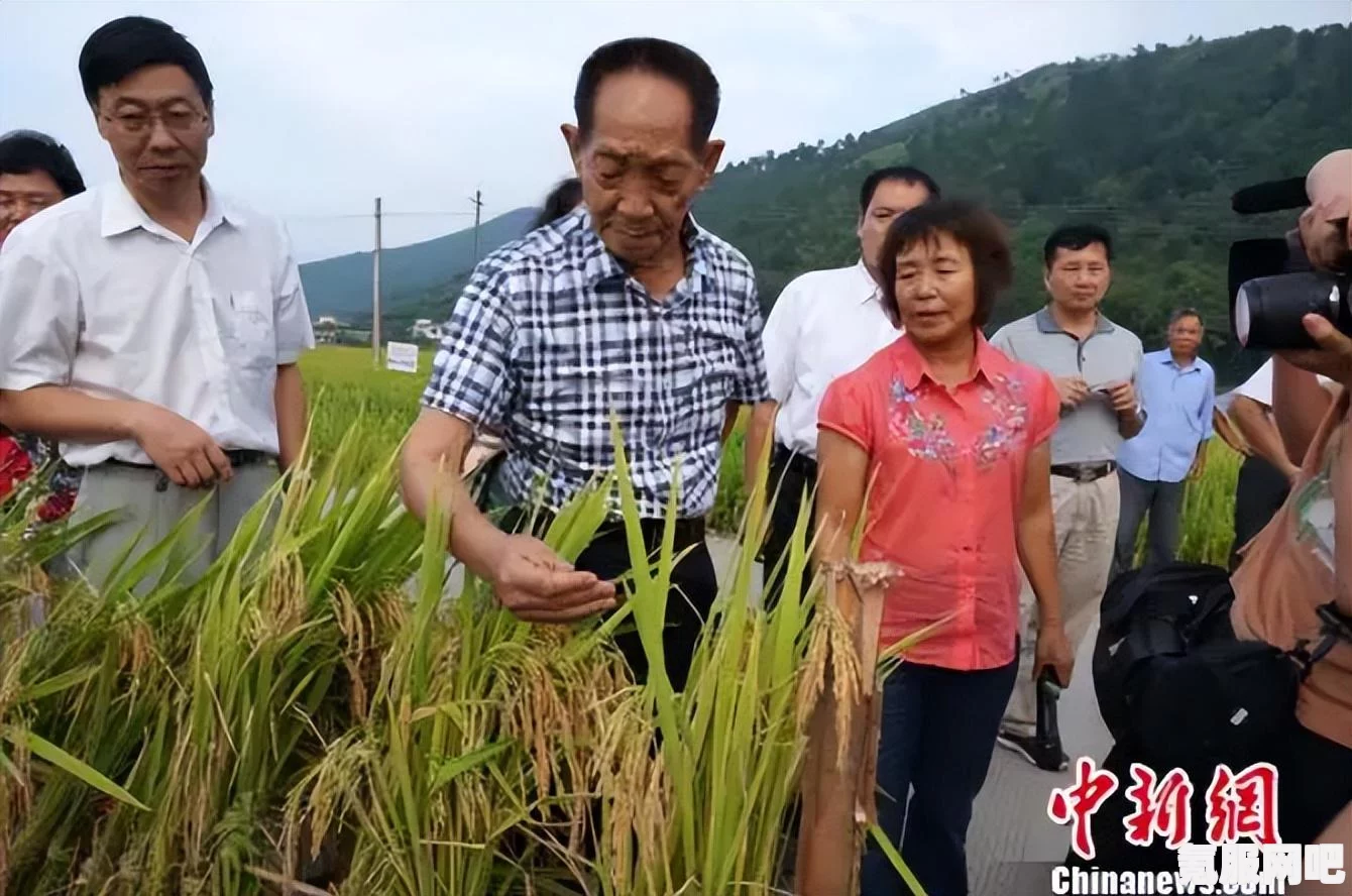 泰拉瑞亚饥荒联动种子介绍