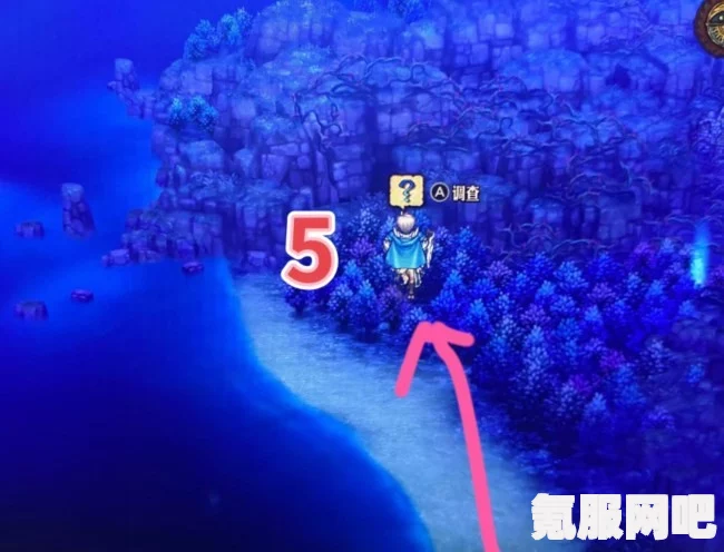 圣兽之王艾尔海姆藏宝图的神秘宝藏位置揭秘