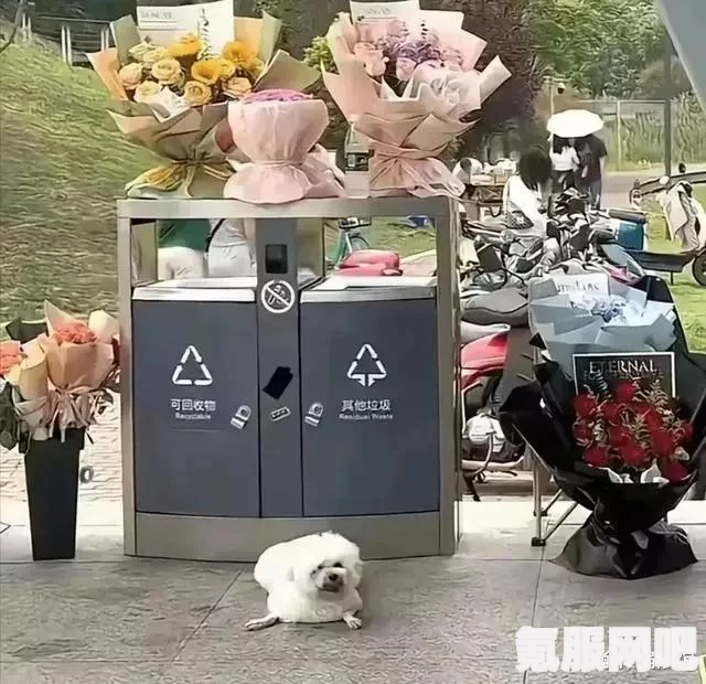 情人节翻垃圾桶背后的梗与故事