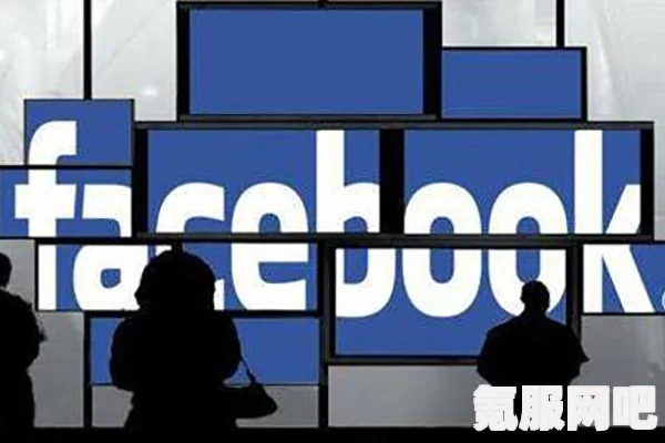 Facebook使用指南，安全性、合法性与操作指南