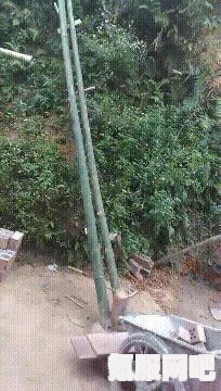 地铁逃生人物变异现象解析