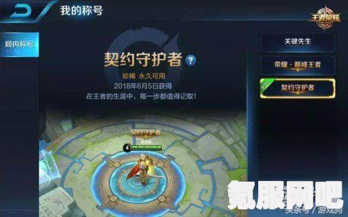 王者荣耀英雄生涯徽章获取攻略及常见问题解答