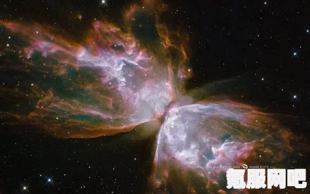 流浪地球2情人节海报，星际浪漫，赠你一朵星云玫瑰