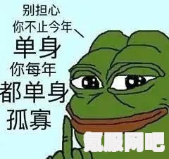不孤鸟表情包分享，温暖传递，让孤独不再孤单