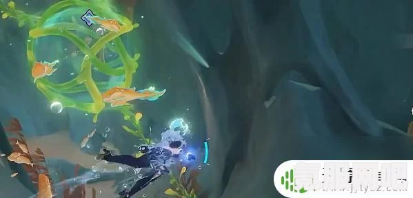 原神海草种子功能与特性详解介绍