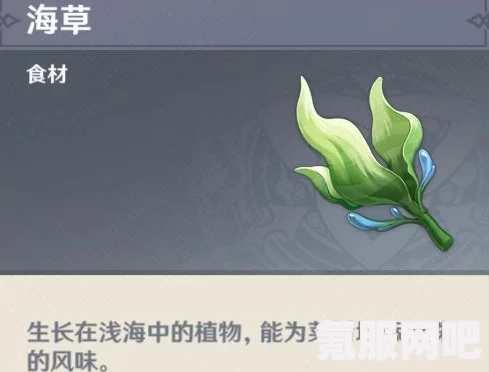 原神海草的种子作用详解及介绍