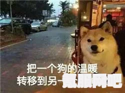 情人节孤寡表情包图片，感受节日的温情与孤独共舞