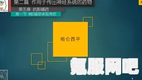 八方旅人2，中文支持情况详解