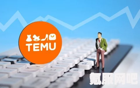 揭秘Temu跨境电商，如何成功入驻并开展业务？