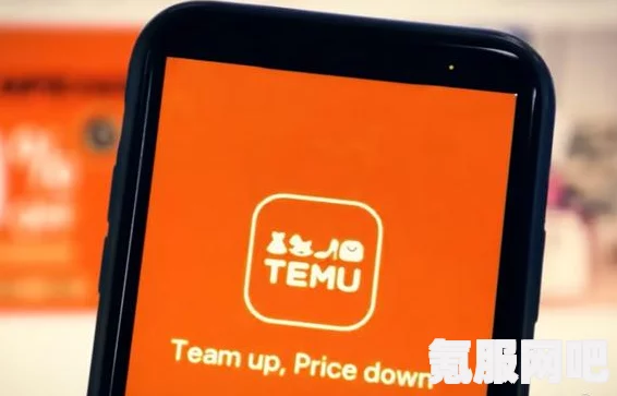 揭秘Temu跨境电商，如何成功入驻并开展业务？