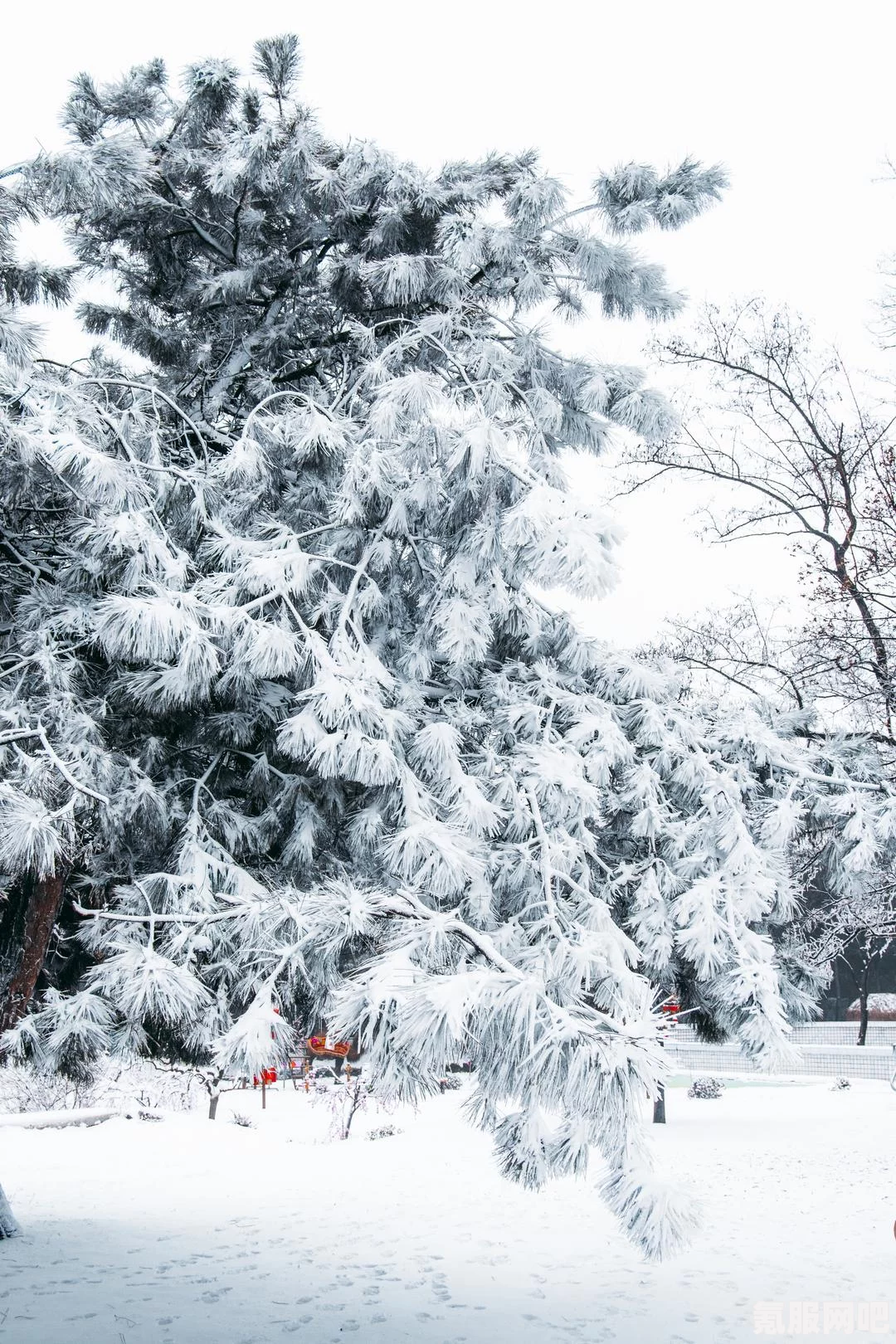 地平线5破坏雪人全攻略，寻找与摧毁15个雪人位置指南秘籍分享！