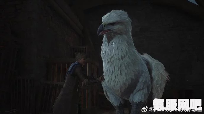 霍格沃茨遗产迷踪鸟的神秘栖息之地