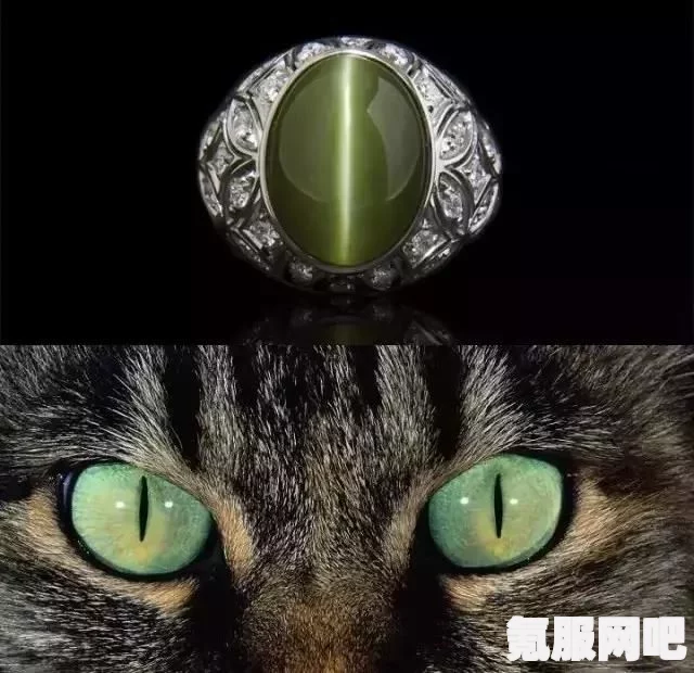 原神蓝宝石猫咪捕捉攻略，轻松捕捉神秘小伙伴